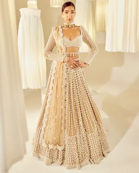 Beige Chandelier Pearl Embellished Lehenga Set